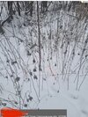 IMG_3867.jpeg