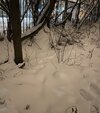 IMG_3868.jpeg